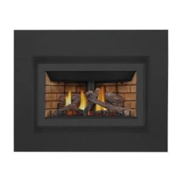 Napoleon Inspiration™ ZC Direct Vent Gas Fireplace Insert