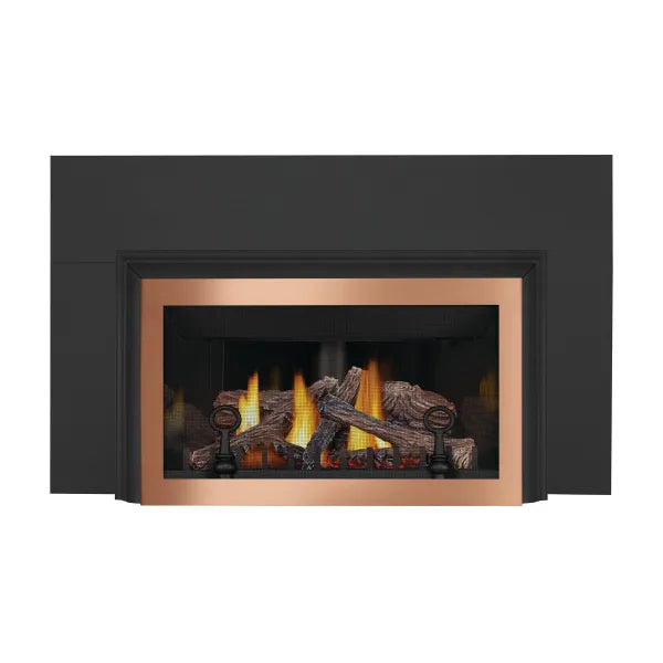 Napoleon Inspiration™ ZC Direct Vent Gas Fireplace Insert