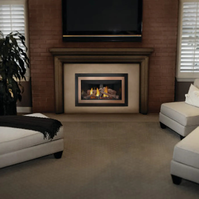 Napoleon Inspiration™ ZC Direct Vent Gas Fireplace Insert