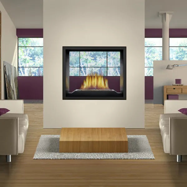 Napoleon High Definition 81 See Through Direct Vent Gas Fireplace