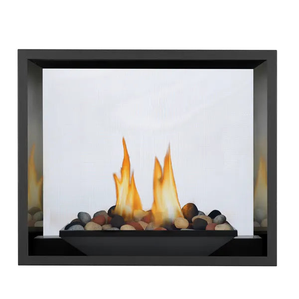 Napoleon High Definition 81 See Through Direct Vent Gas Fireplace