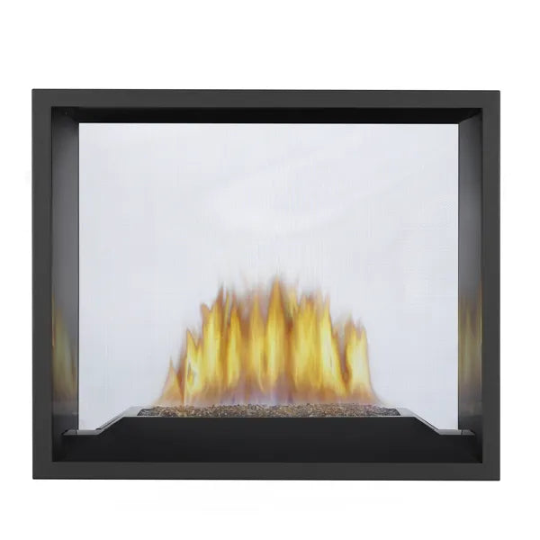 Napoleon High Definition 81 See Through Direct Vent Gas Fireplace