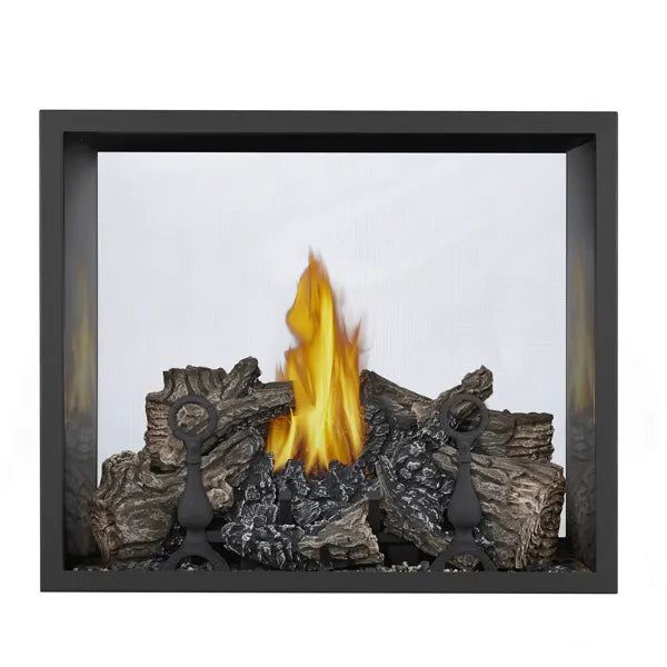 Napoleon High Definition 81 See Through Direct Vent Gas Fireplace