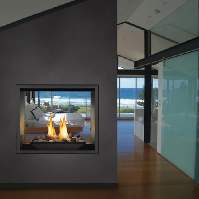 Napoleon High Definition 81 See Through Direct Vent Gas Fireplace