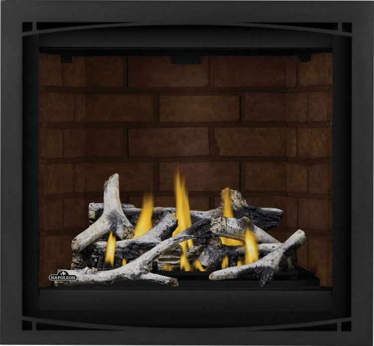 Napoleon Altitude ™ X 36" Direct Vent Gas Fireplace