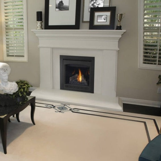 Napoleon Ascent™ 30" Direct Vent Gas Fireplace