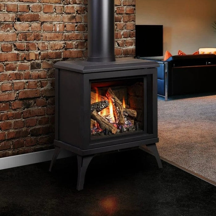 Kingsman Freestanding Direct Vent Gas Stove FDV200S