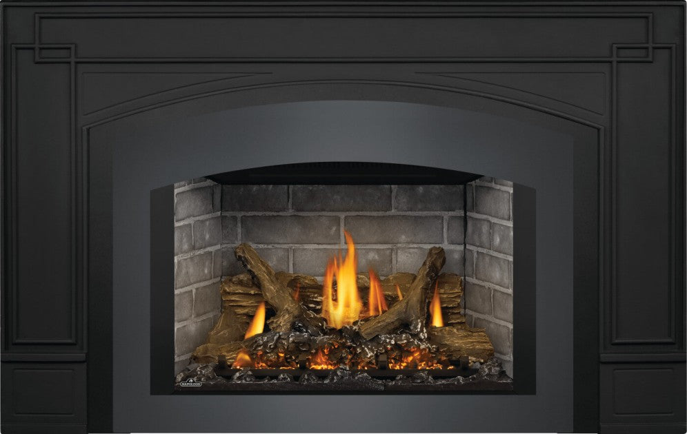 Napoleon Oakville™ X3 Direct Vent Fireplace Insert