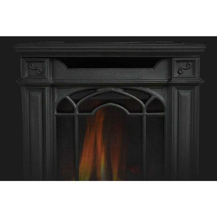 Napoleon Arlington™ Black Direct Vent Gas Stove, Electronic Ignition