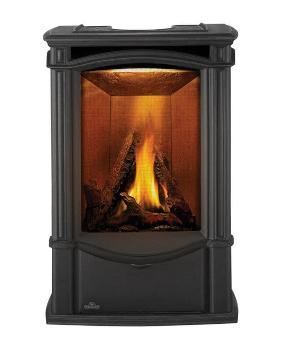 Napoleon Castlemore™ Black Direct Vent Gas Stove, Millivolt Ignition