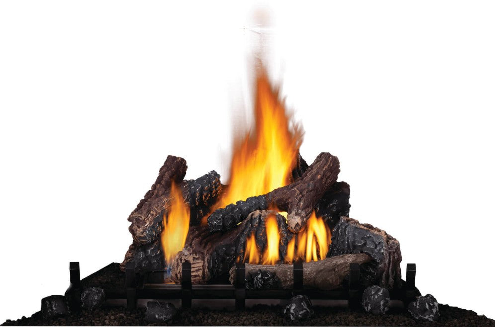 Napoleon Riverside™ 42" Clean Face Outdoor Fireplace, Millivolt Ignition