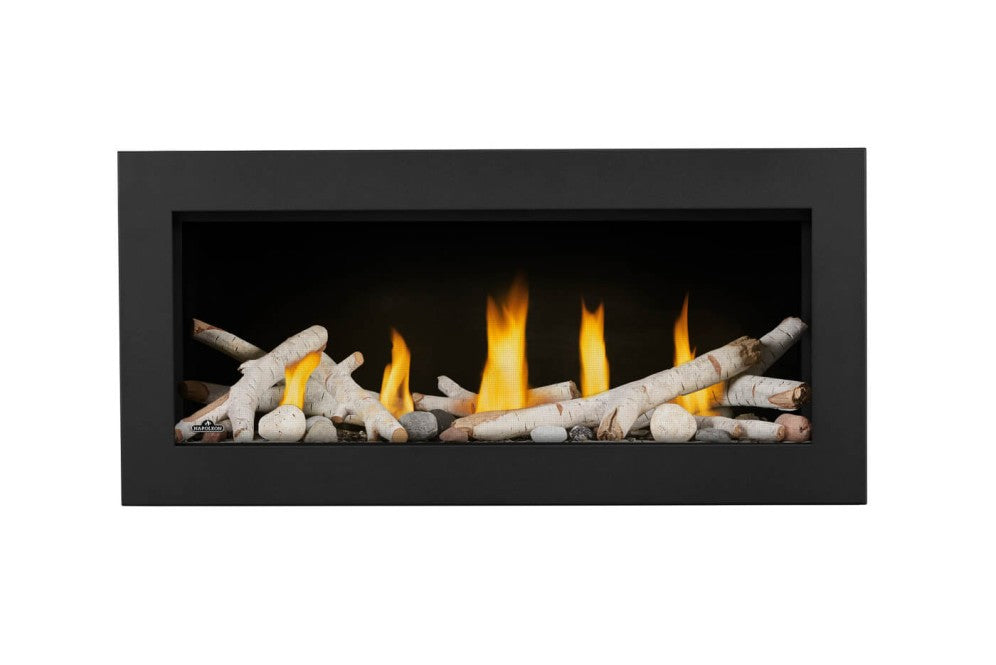 Napoleon Vector 38 Direct Vent Gas Fireplace