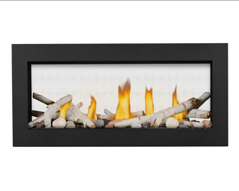 Napoleon Vector 38 Direct Vent See-Through Gas Fireplace