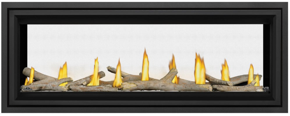 Napoleon Vector 50 Direct Vent See-Through Gas Fireplace