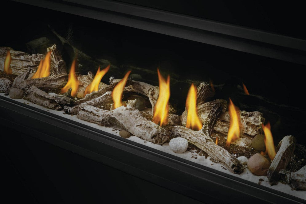 Napoleon Vector 50 Direct Vent See-Through Gas Fireplace