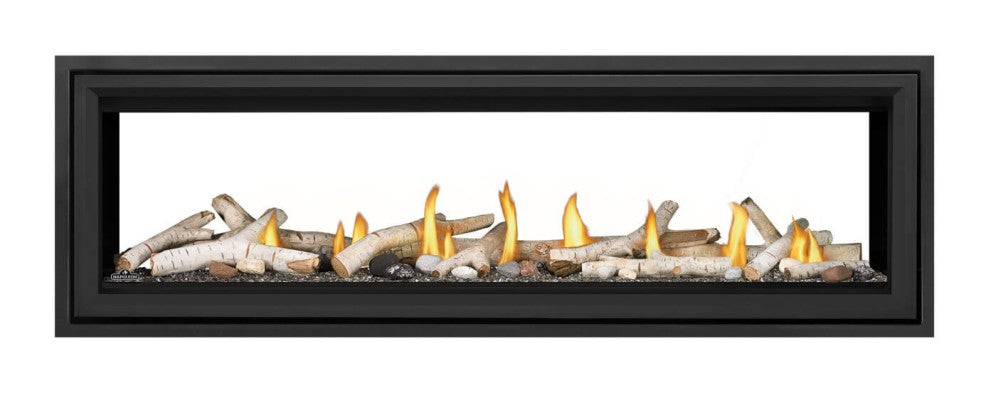 Napoleon Vector 62 Direct Vent See-Through Gas Fireplace