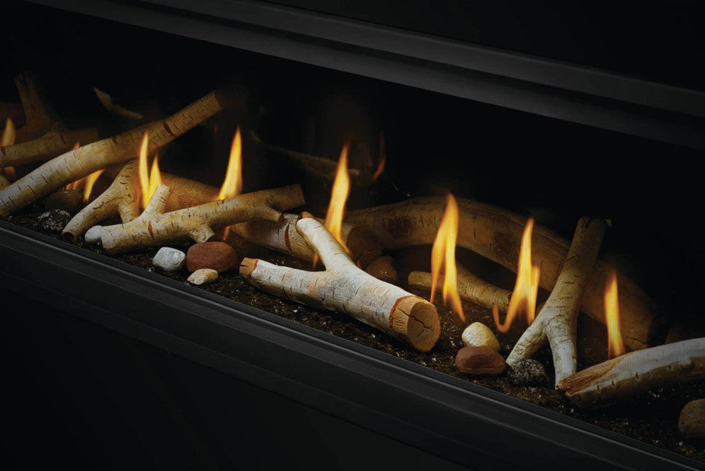 Napoleon Vector 74 Direct Vent See-Through Gas Fireplace