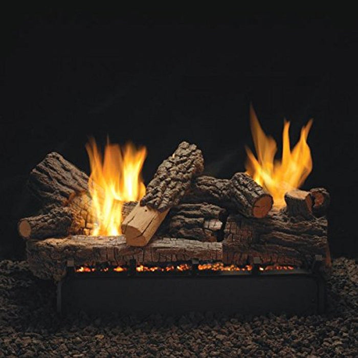 Empire Comfort 30" Rock Creek Logset With IP VF/V Slope Glaze Vista Burner - NG