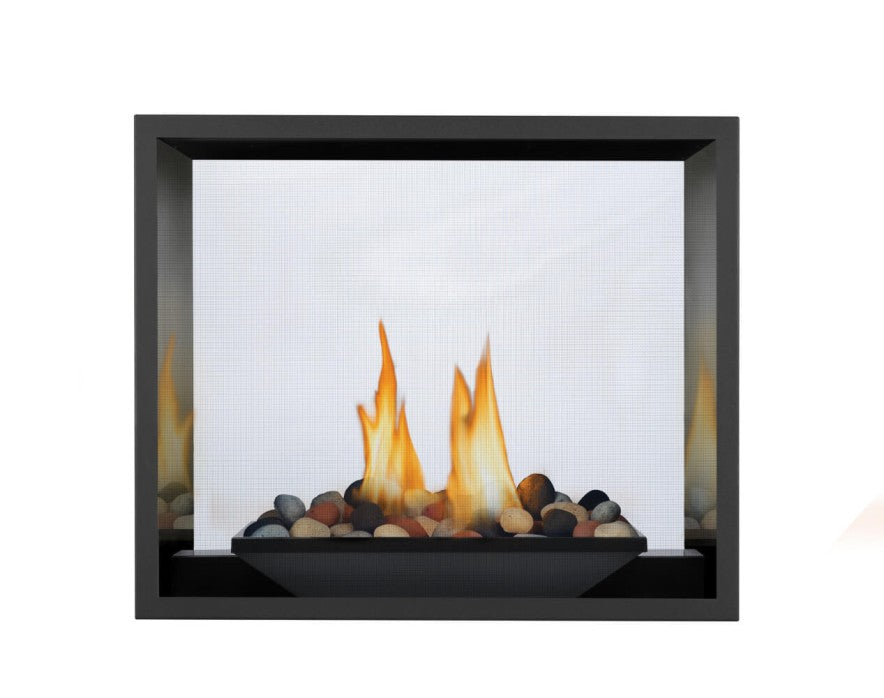 Napoleon High Definition 81 See Through Direct Vent Gas Fireplace